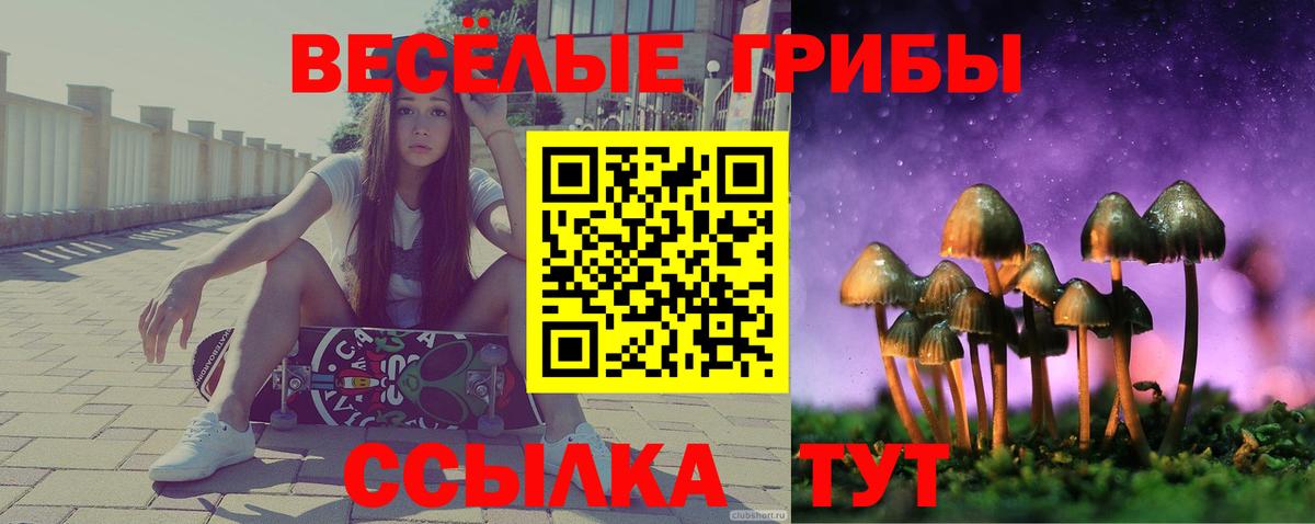 Галлюциногенные грибы Cubensis Острогожск