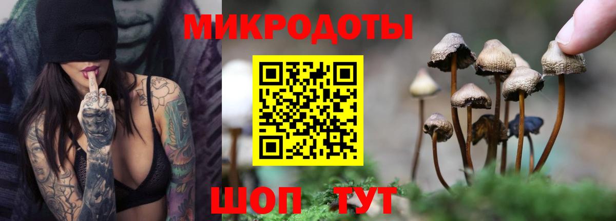 Галлюциногенные грибы Magic Shrooms  Вход с VPN  Острогожск 